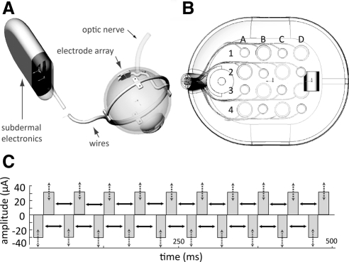 Figure 1.