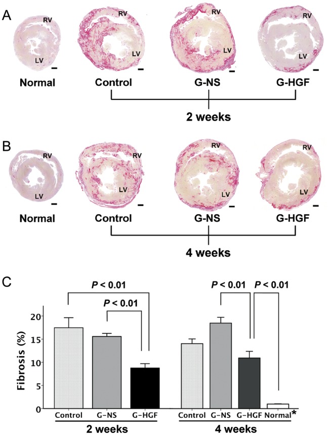 Figure 3: