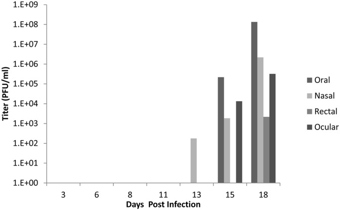 Fig 10