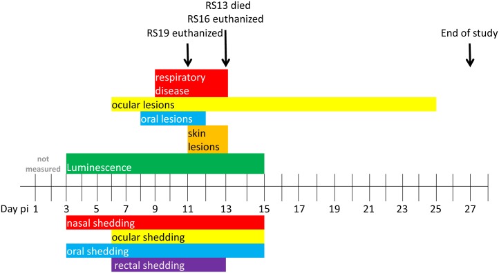 Fig 2