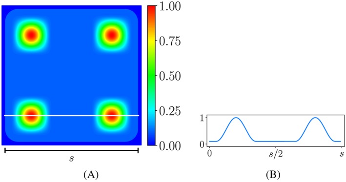 cnm3097-fig-0001