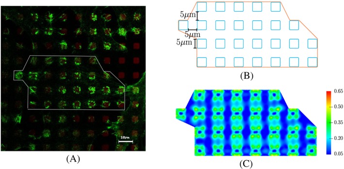 cnm3097-fig-0002