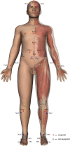 Fig. 2
