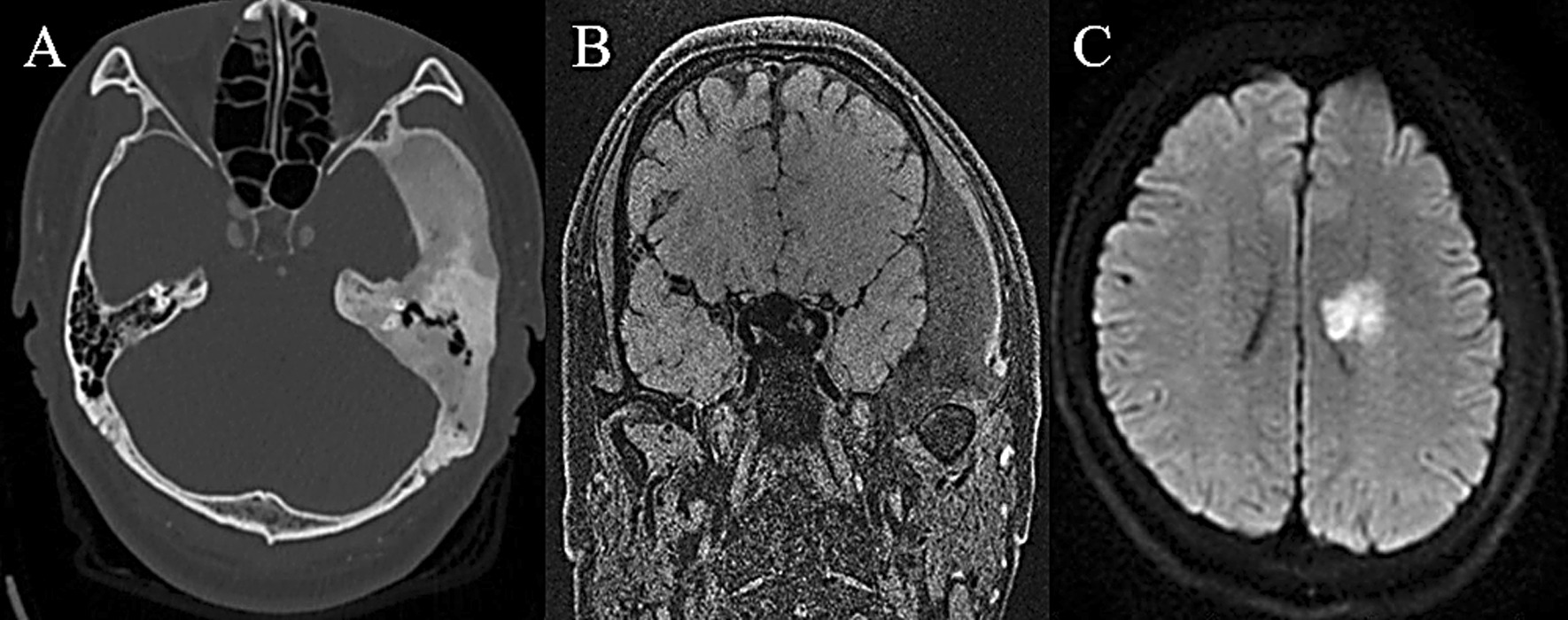 Fig. 7