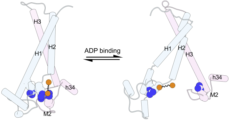 Fig. 10