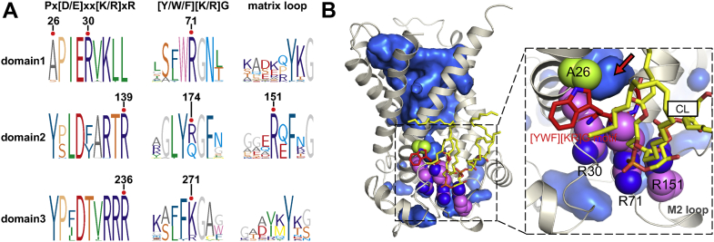 Fig. 9