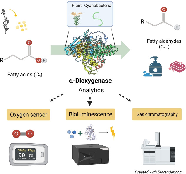 graphic file with name CBIC-23-0-g007.jpg