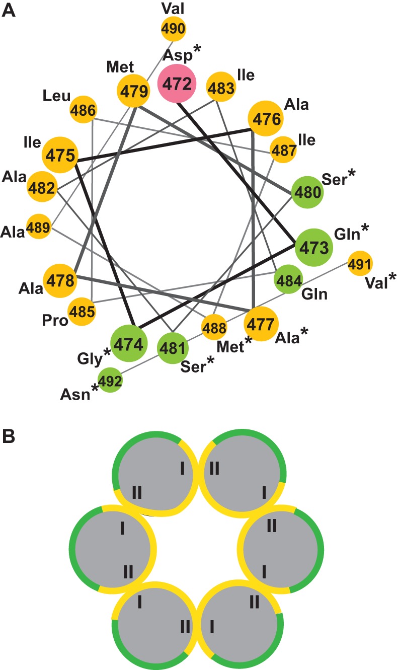 FIG 2