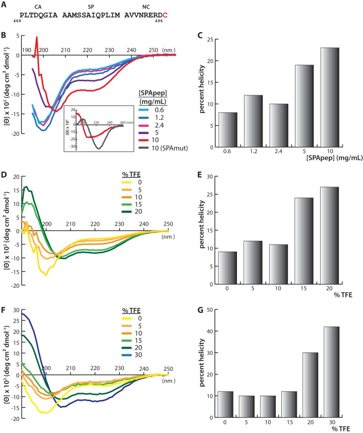 FIG 4