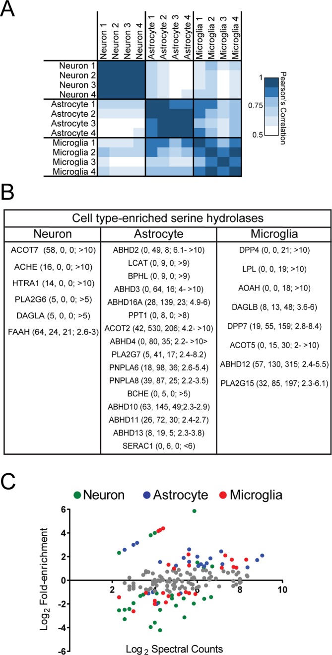 Figure 1—figure supplement 1.