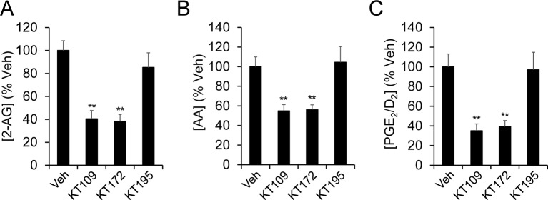 Figure 3—figure supplement 1.