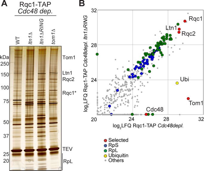 FIGURE 6: