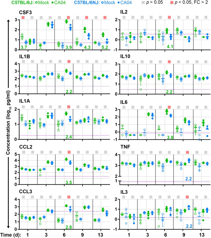 FIGURE 5