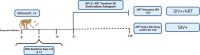Supplemental Figure S1