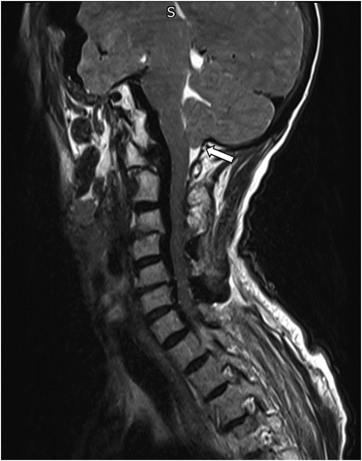 Figure 4 