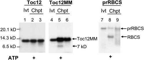 Figure 5.