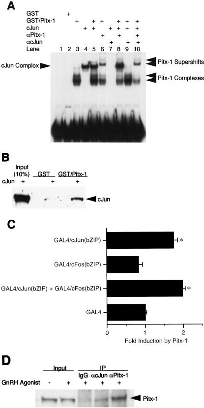 FIG. 5.