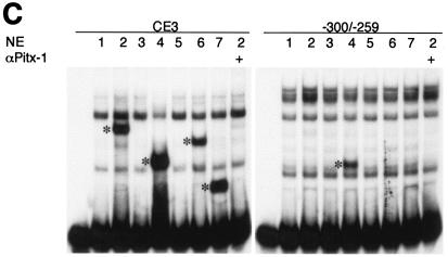 FIG. 6.