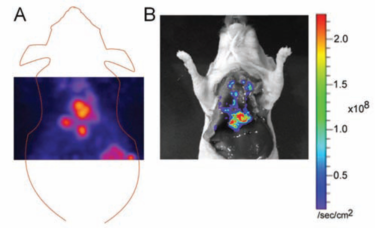 Fig. (2).