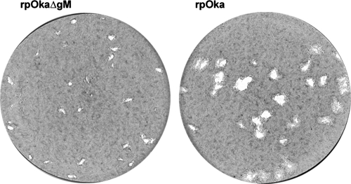 FIG. 6.