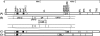 FIG. 3.