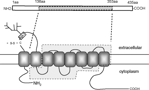 FIG. 10.