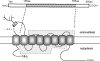 FIG. 10.