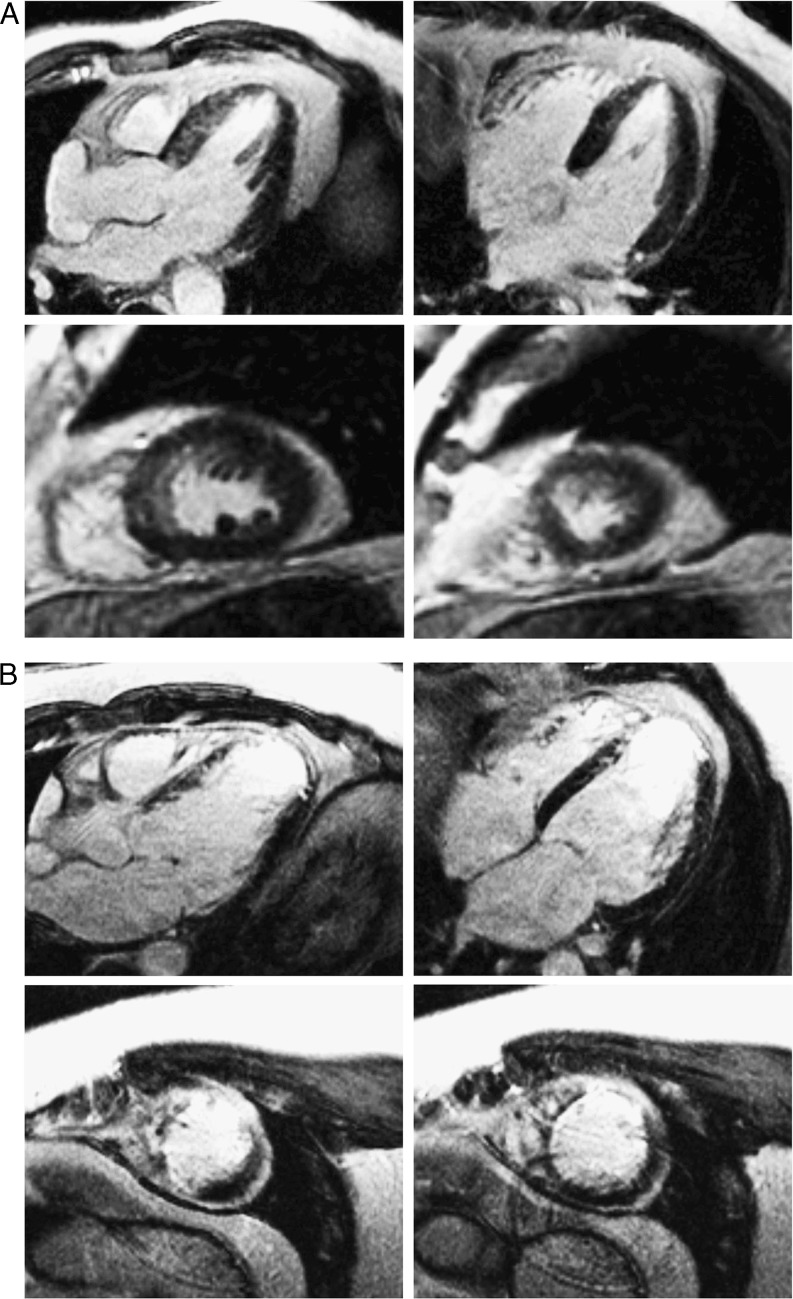 Fig. 3