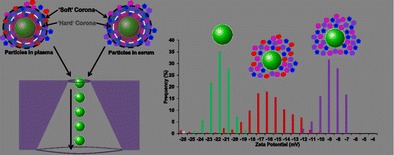 Graphical Abstract