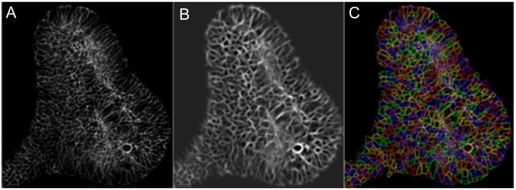 Fig. 3.