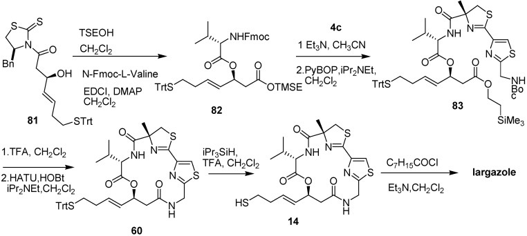 Scheme 11