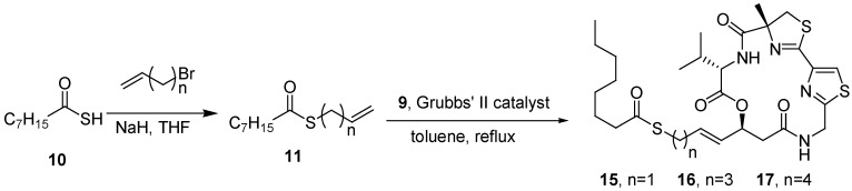 Scheme 3