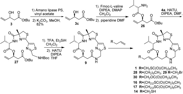 Scheme 5