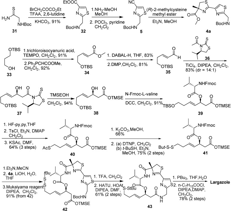 Scheme 6