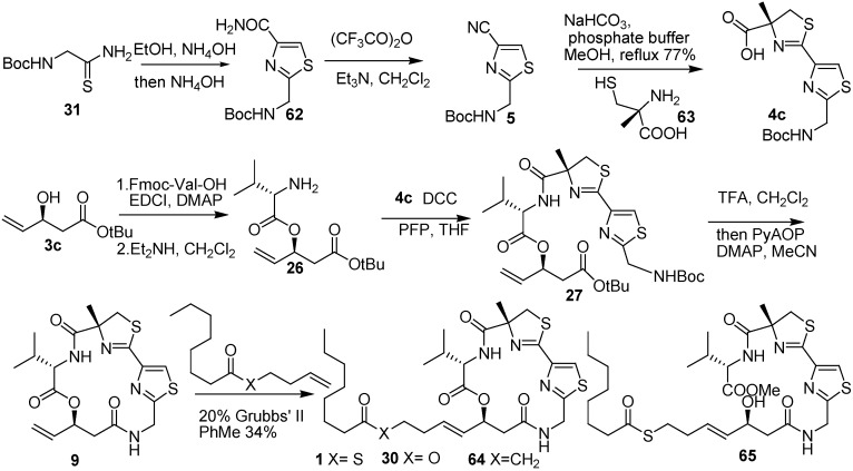 Scheme 9