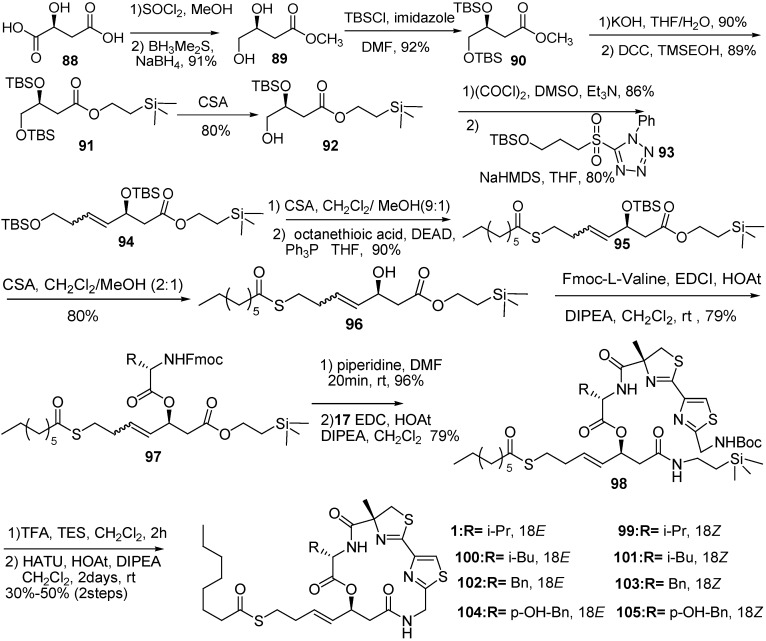 Scheme 13