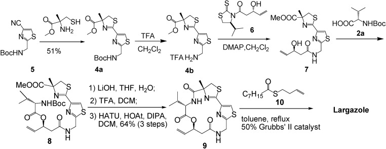 Scheme 1