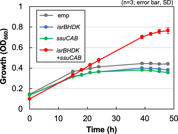 Line graph shows the growth of Rhodobacter sphaeroides strains with different plasmids: emp (vector control), isrBHDK, ssuCAB, isrBHDK + ssuCAB to check isethionate availability. Error bars represent standard deviation (n = 3).