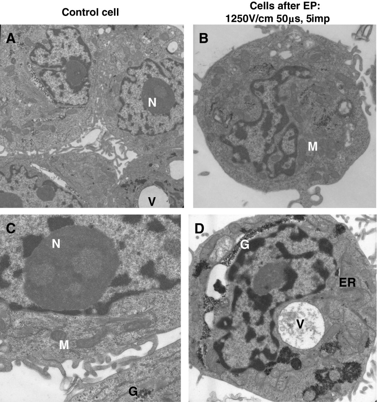 Fig. 8