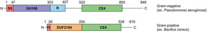 Figure 2.