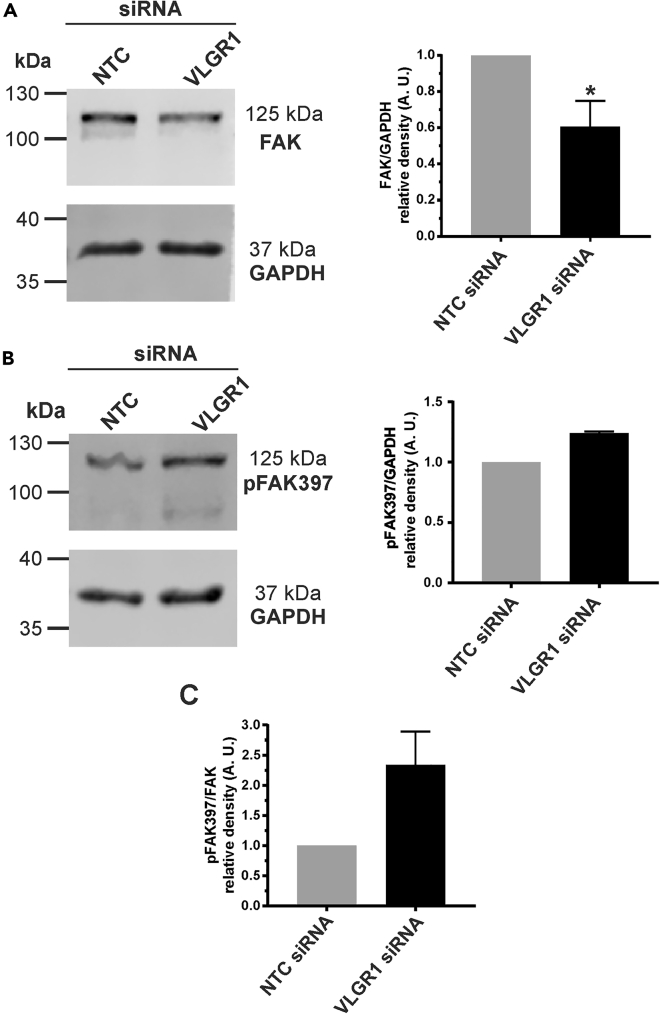 Figure 6