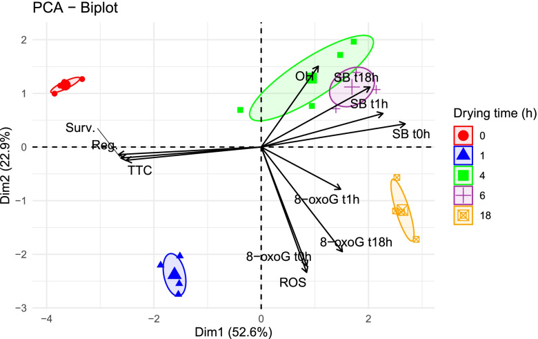 Fig. 10