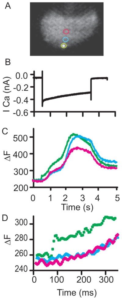 Figure 5