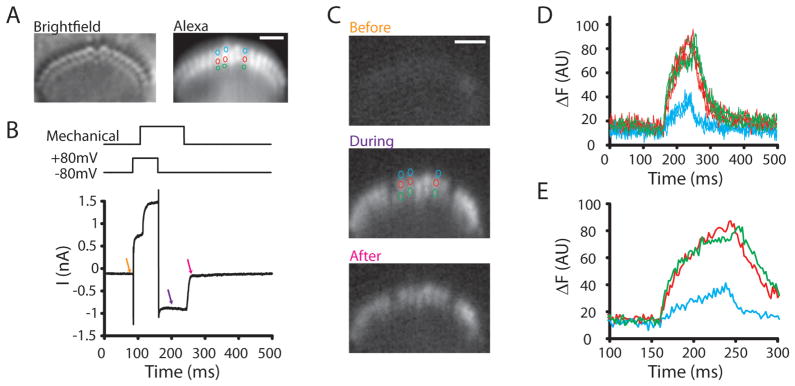 Figure 6