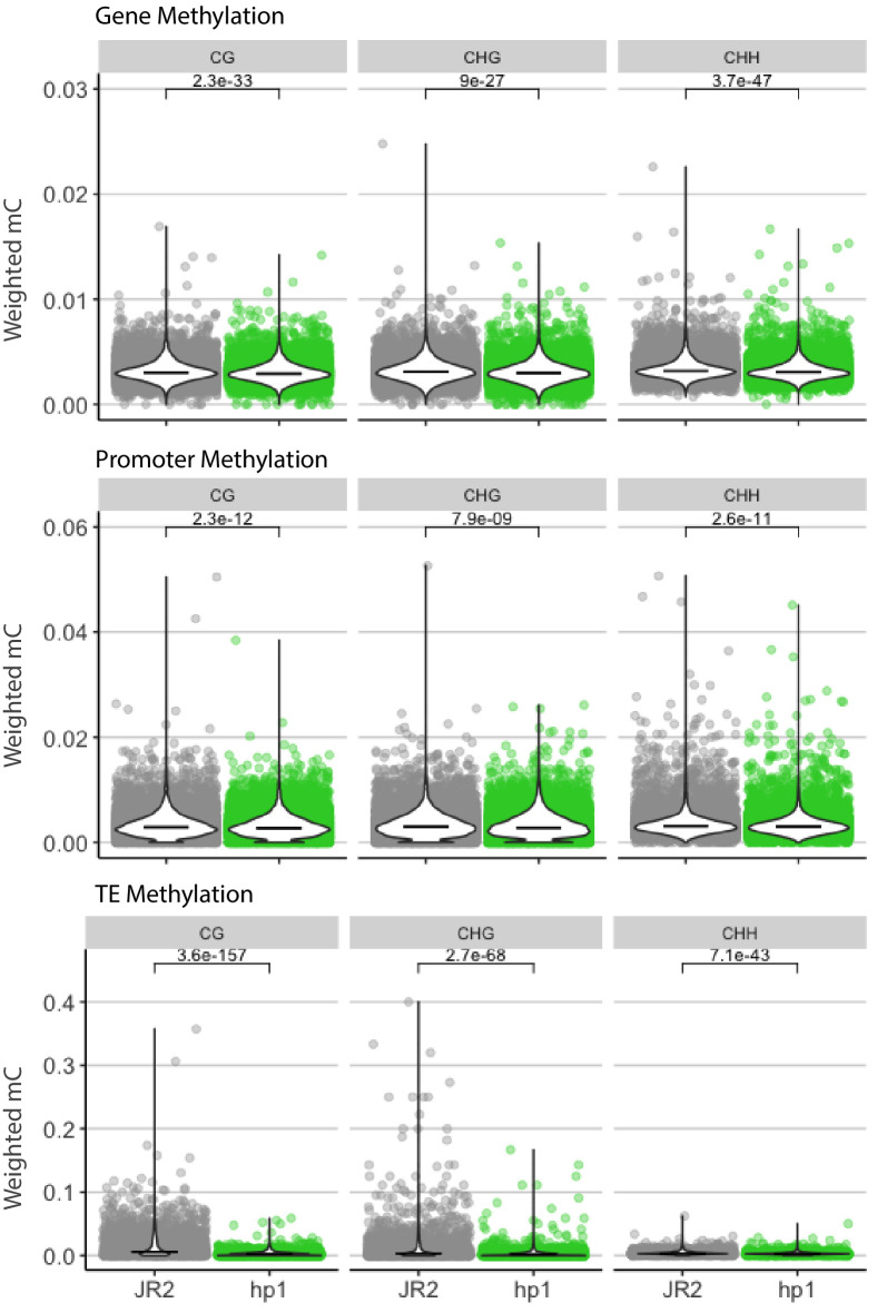 Figure 1—figure supplement 2.