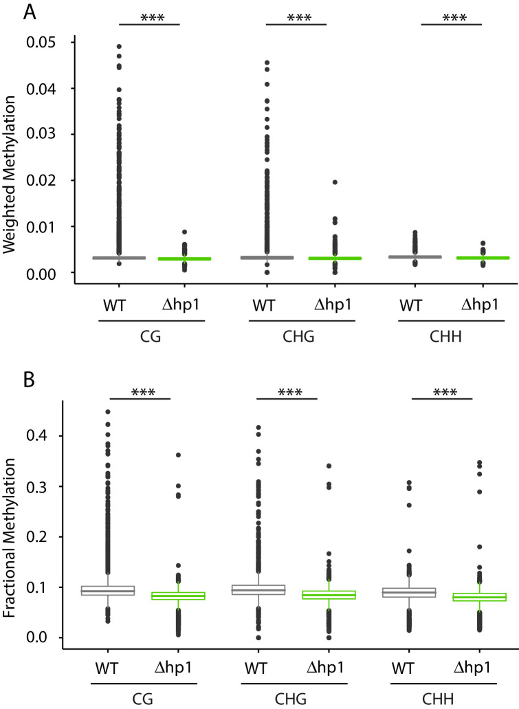 Figure 1—figure supplement 1.