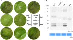 FIG 3