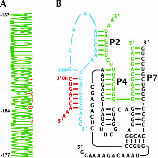 FIGURE 2.