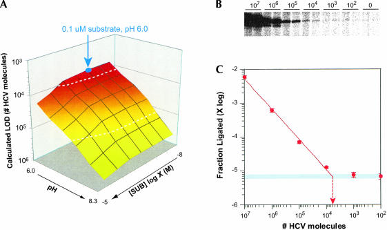 FIGURE 6.