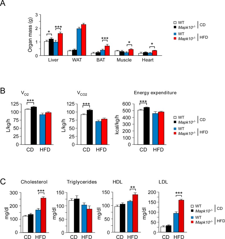 Figure 1—figure supplement 1.